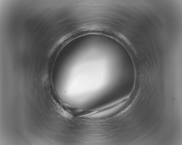 X0000065250922200602171424