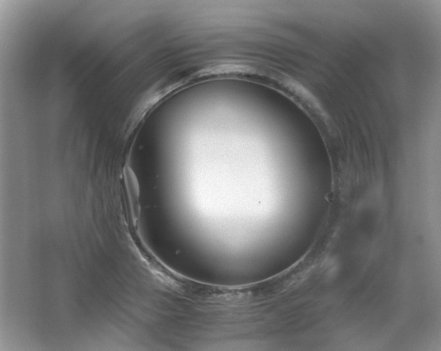 X0000065250937200602171424