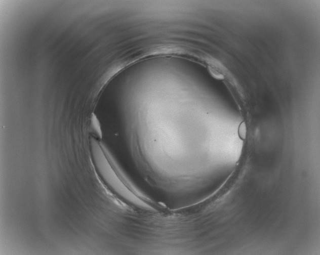 X0000065250945200602171424
