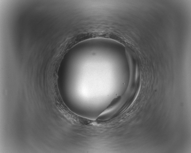 X0000065250961200602171423