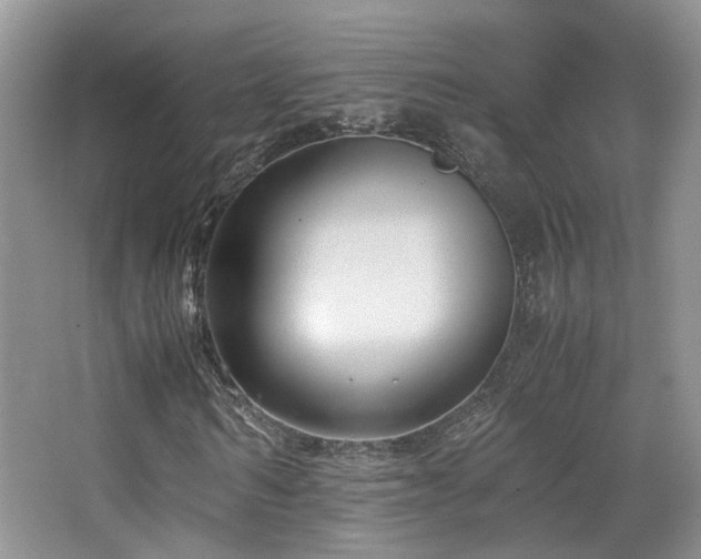 X0000065250962200602171423