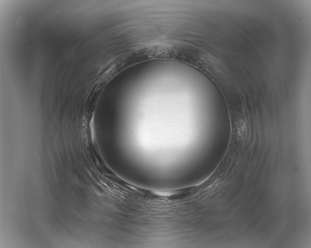 X0000065250964200602171423