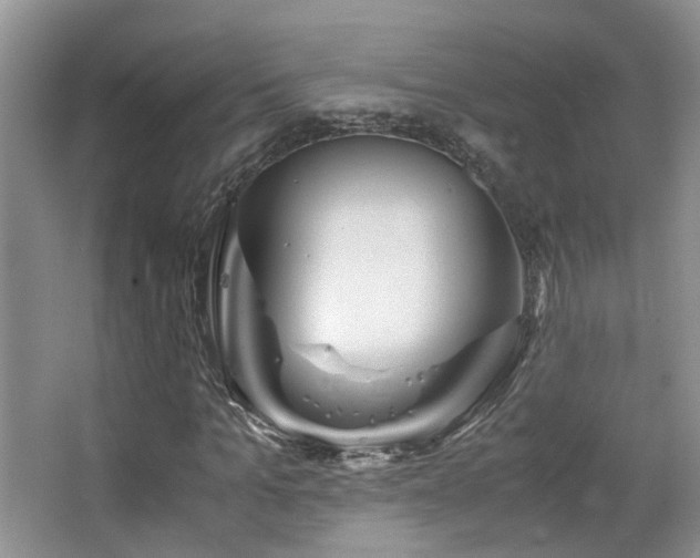 X0000065250965200602171423