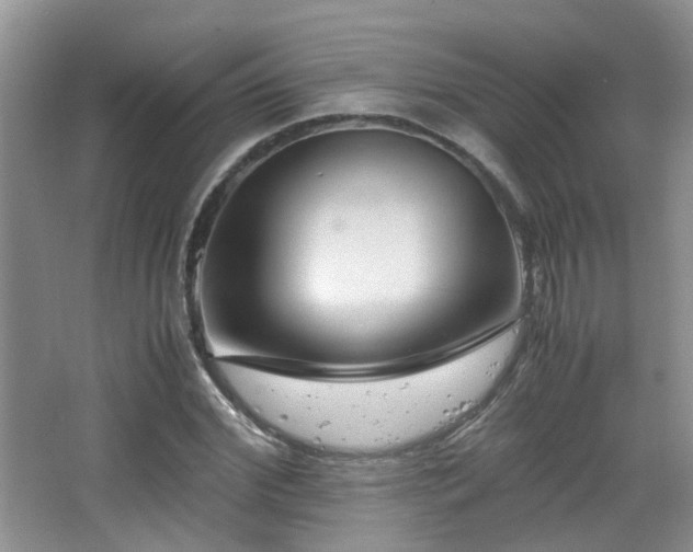 X0000065250972200602171423
