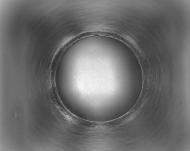 X0000065250974200602171423