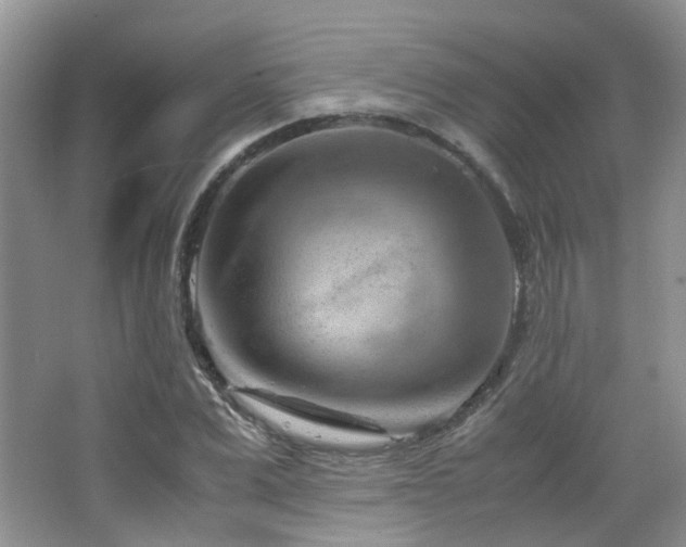 X0000065250975200602171423