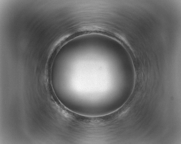 X0000065250979200602171423