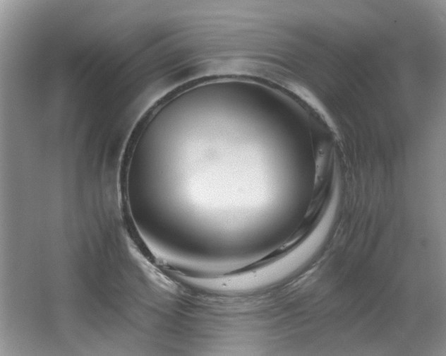 X0000065250980200602171423