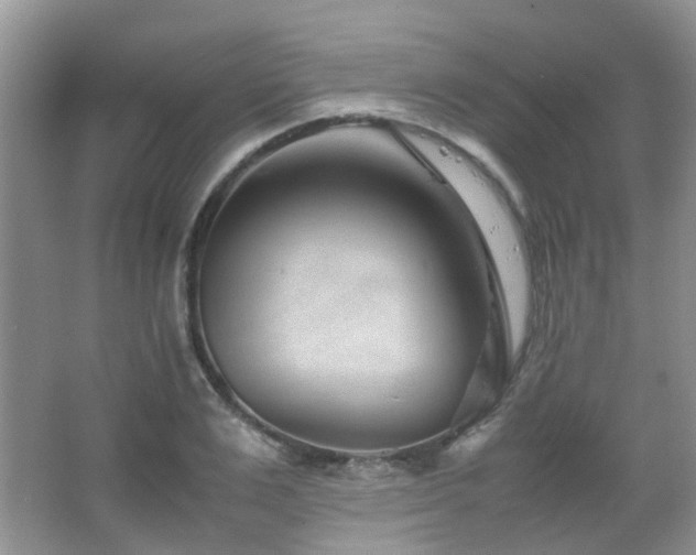 X0000065250983200602171423