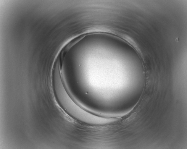 X0000065250996200602171423