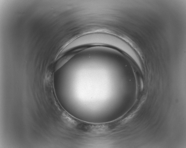 X0000065251001200602171423