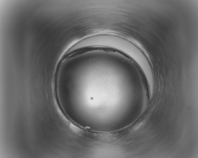 X0000065251007200602171423