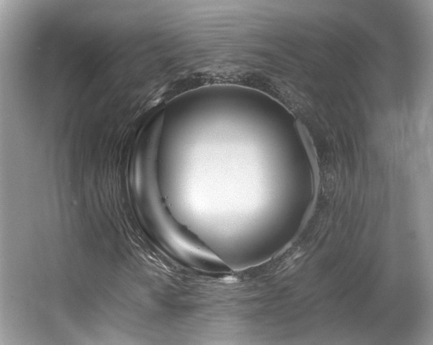 X0000065251010200602171422