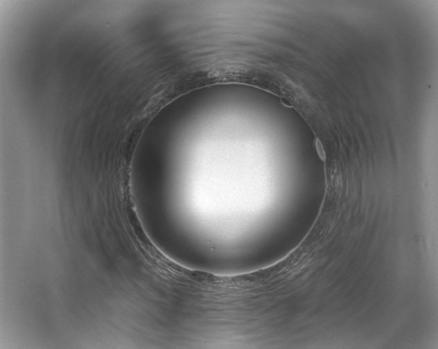 X0000065251012200602171422
