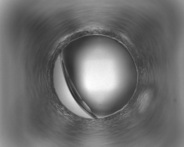 X0000065251016200602171422
