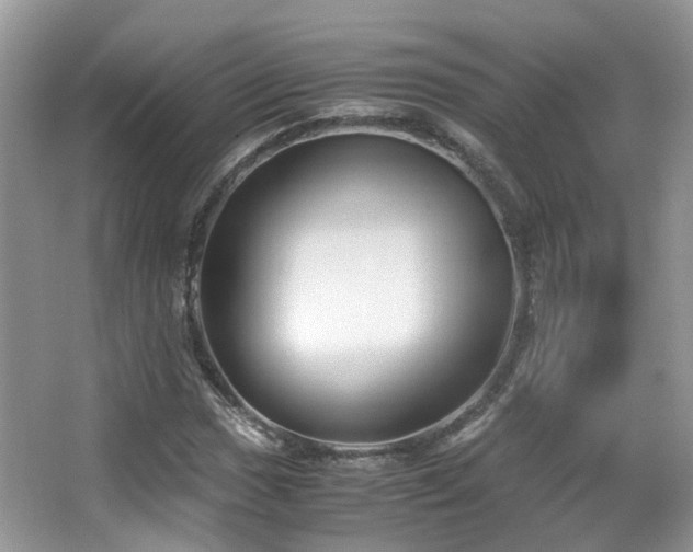 X0000065251017200602171422