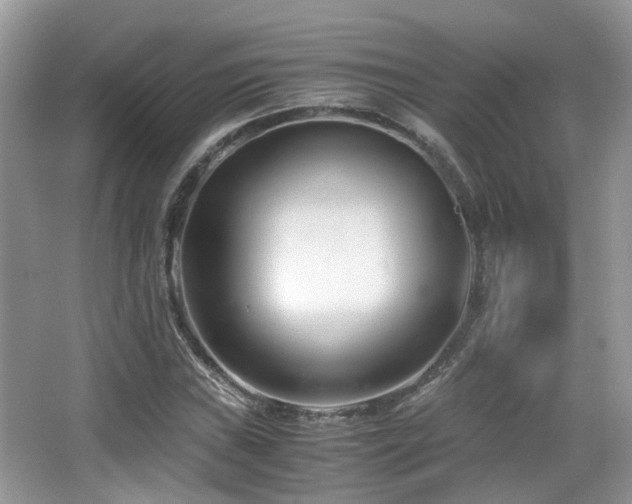 X0000065251019200602171422