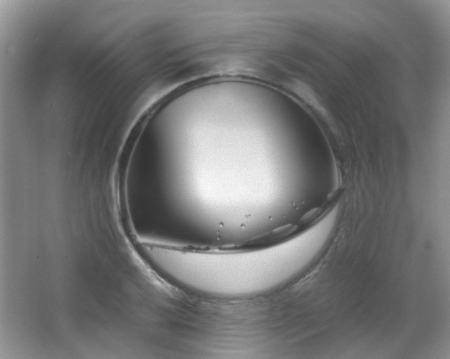 X0000065251032200602171422