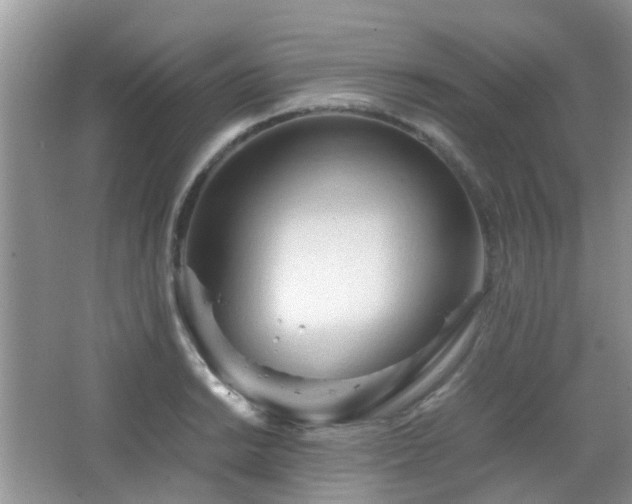 X0000065251038200602171422