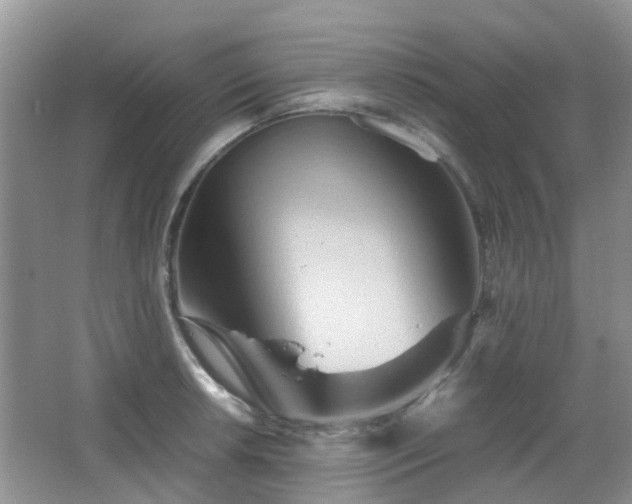 X0000065251042200602171422