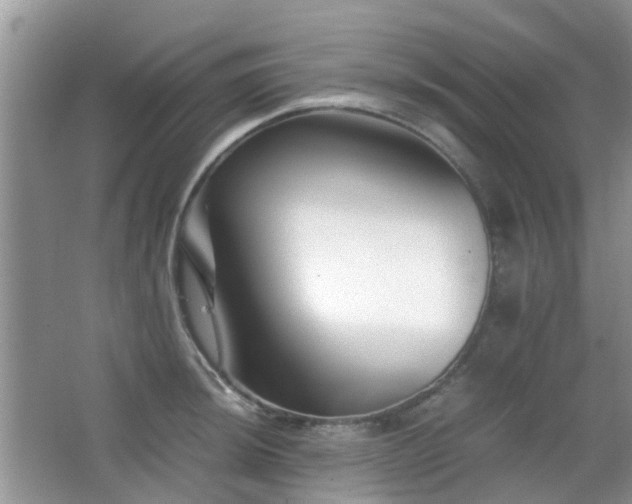 X0000065251044200602171422
