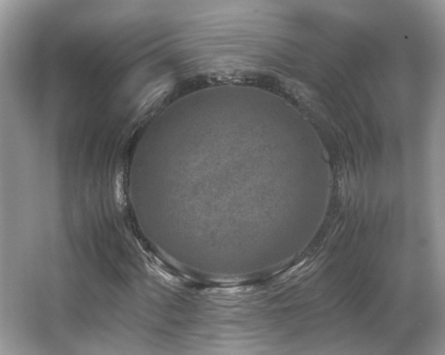 X0000065251060200602171422