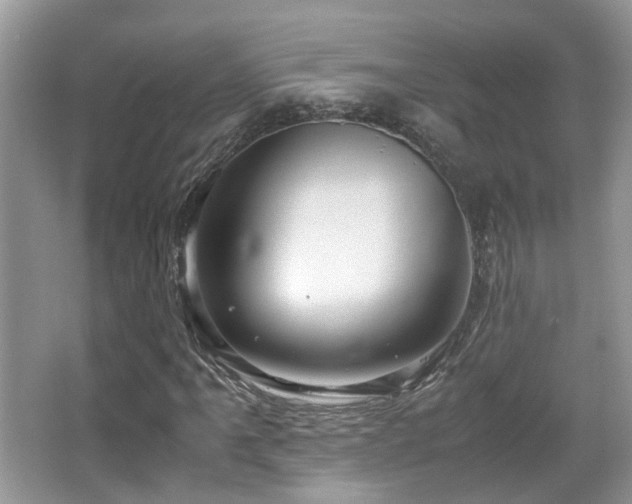 X0000065251061200602171422
