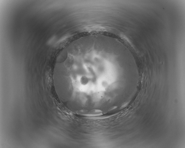 X0000065251063200602171422