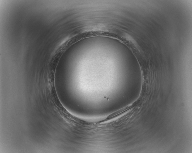 X0000065251064200602171422