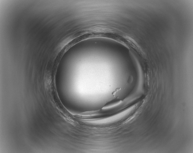 X0000065251065200602171422