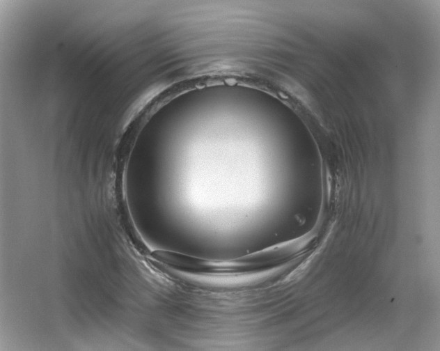 X0000065251066200602171422