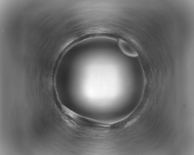 X0000065251073200602171421