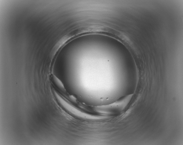 X0000065251081200602171421