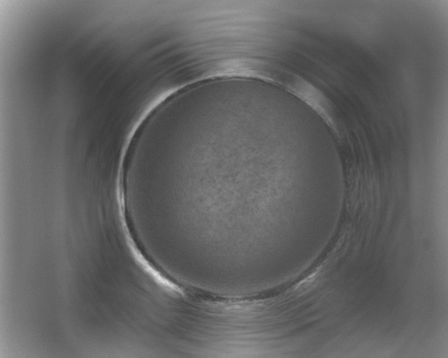 X0000065251084200602171421