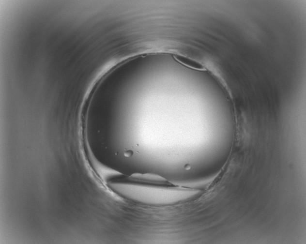 X0000065251096200602171421