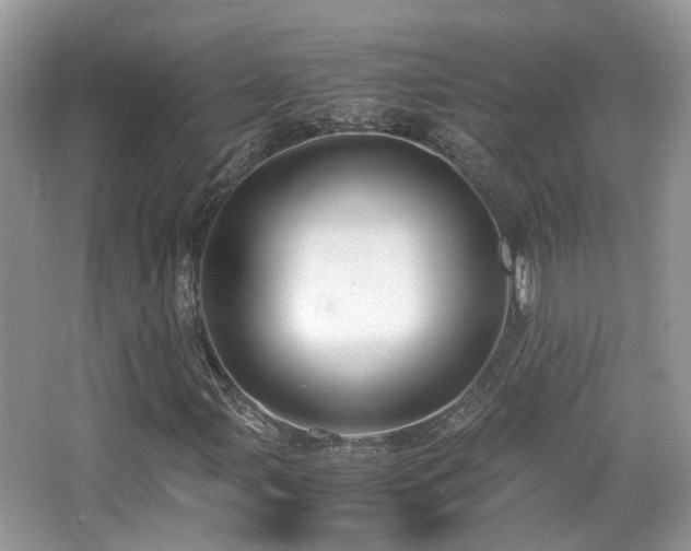 X0000065251107200602171420