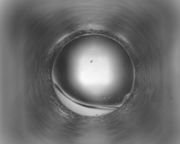 X0000065251112200602171420