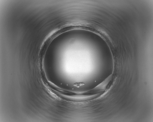 X0000065251114200602171420