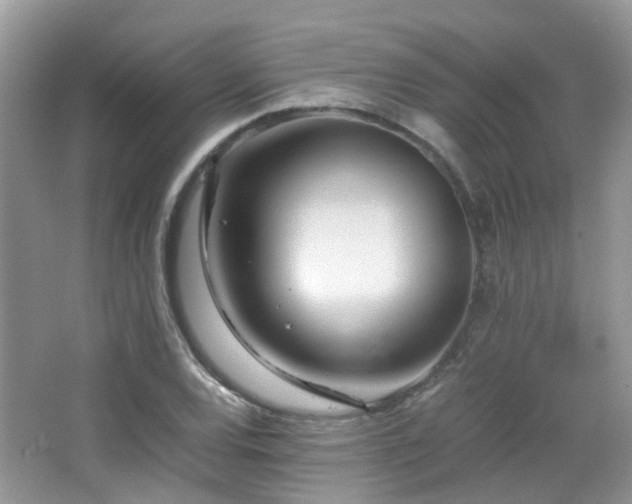 X0000065251120200602171420