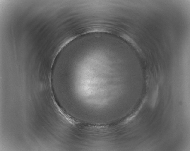 X0000065251121200602171420
