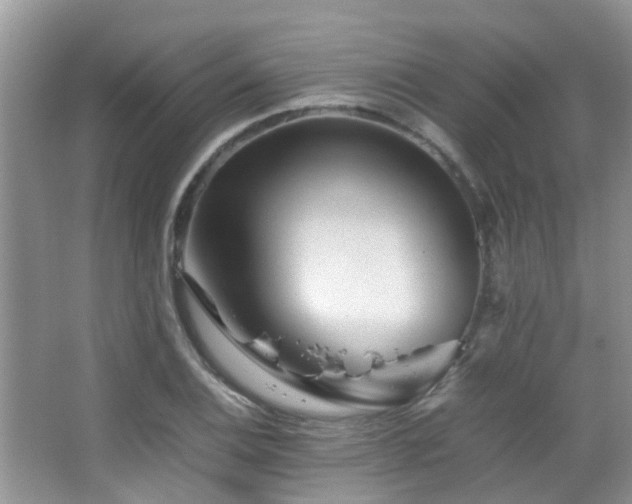 X0000065251124200602171420