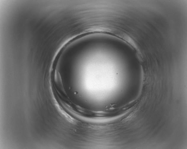 X0000065251132200602171420