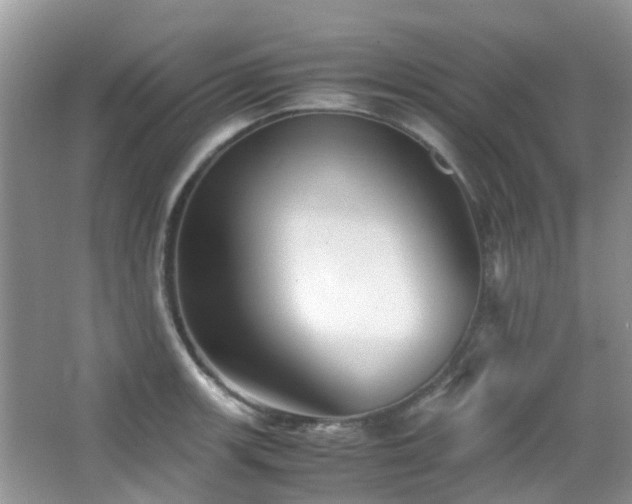 X0000065251139200602171421