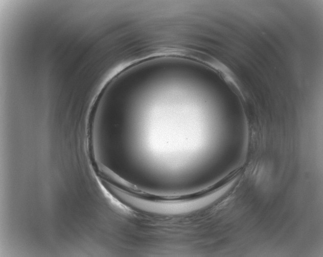 X0000065251143200602171421