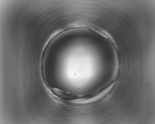 X0000065251146200602171421