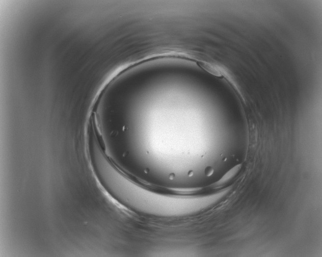X0000065251151200602171421