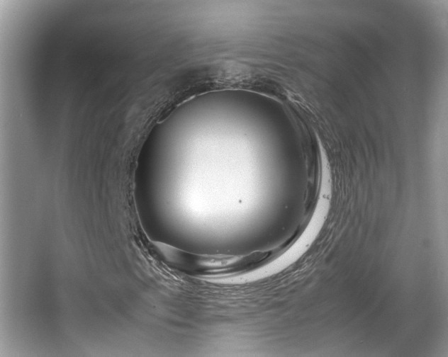 X0000065251153200602171420