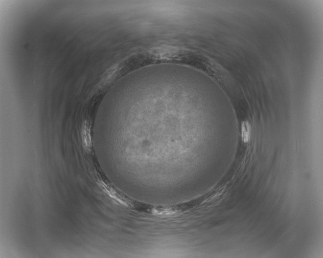 X0000065251155200602171420