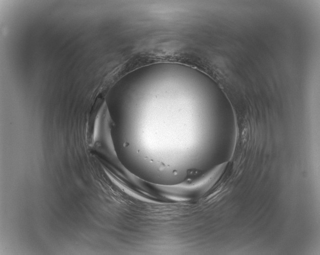 X0000065251156200602171420