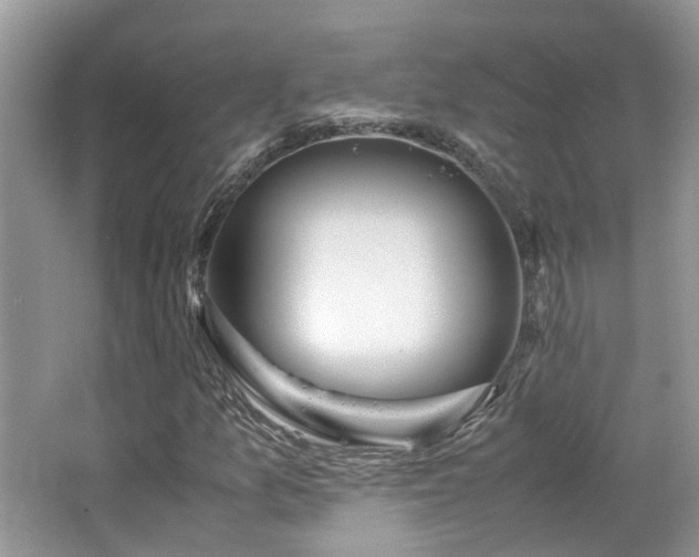 X0000065251157200602171420
